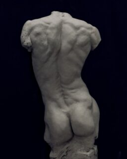 Life-size torso sculpture by student Sheyda Shakoory (@sheydashkr)