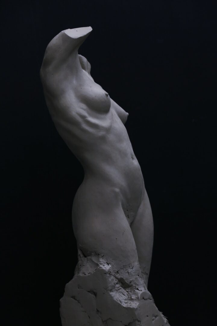 silvia r turmo femaletorsosculpture